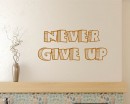 Never Give Up